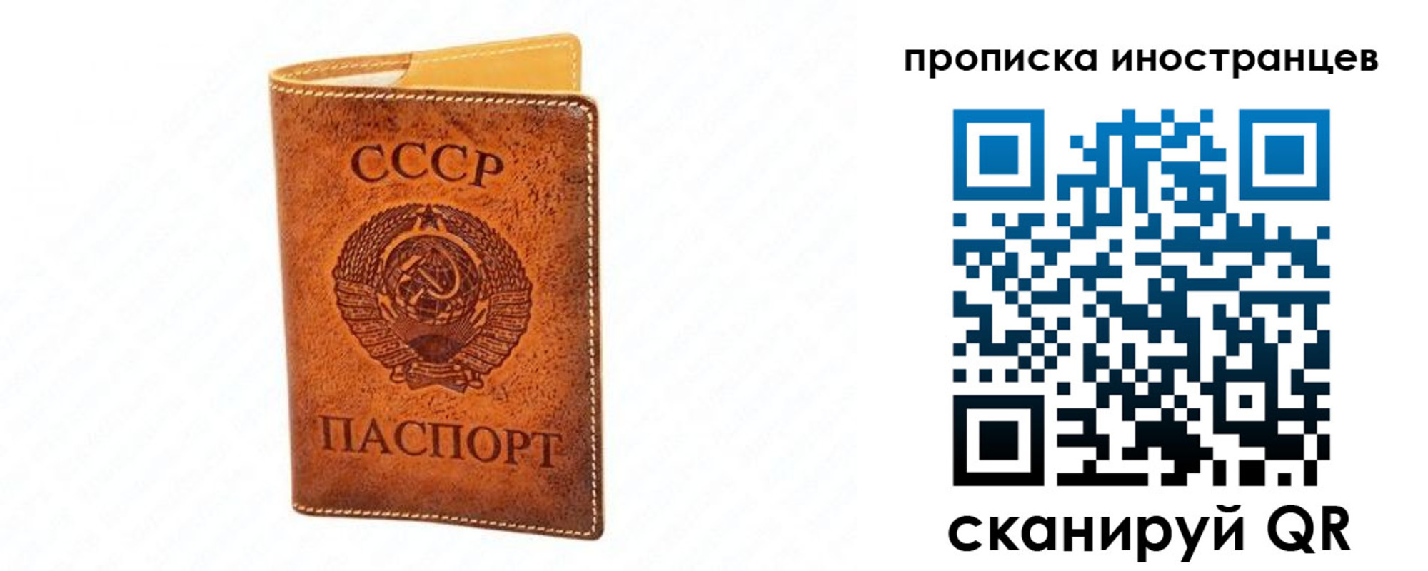 прописка для школы в Саранске